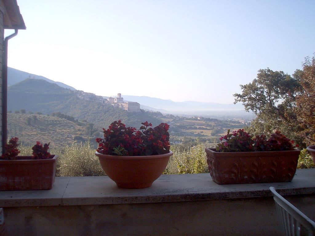 B&B Colle San Francesco Assisi Bagian luar foto