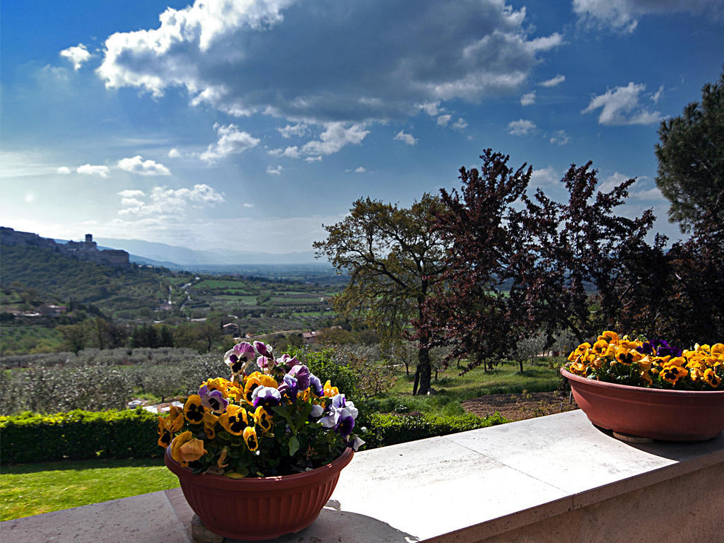 B&B Colle San Francesco Assisi Bagian luar foto