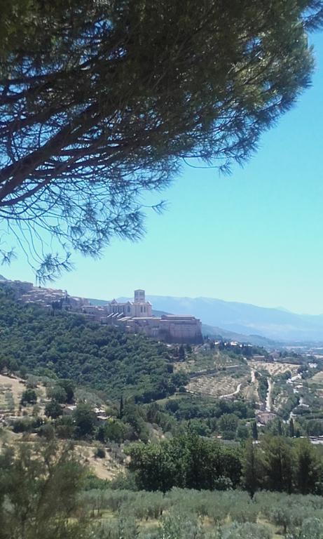 B&B Colle San Francesco Assisi Bagian luar foto