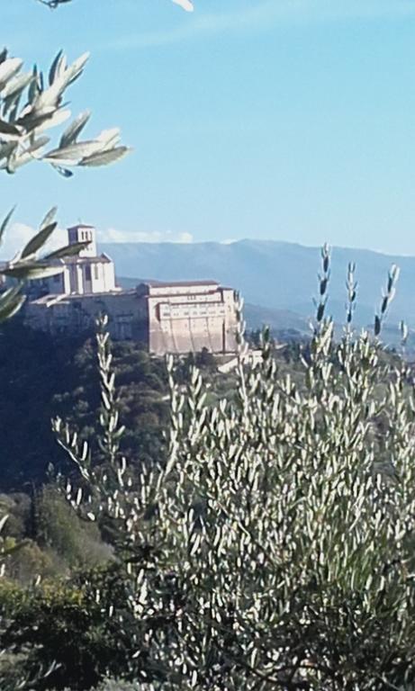 B&B Colle San Francesco Assisi Bagian luar foto