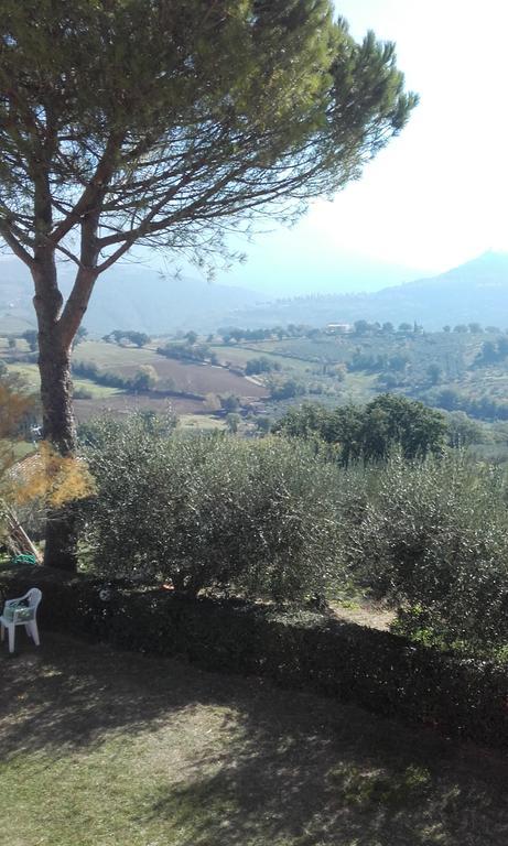 B&B Colle San Francesco Assisi Bagian luar foto