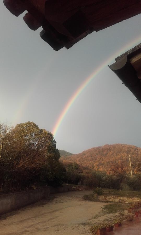 B&B Colle San Francesco Assisi Bagian luar foto